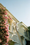 Paint Job | Photography Print