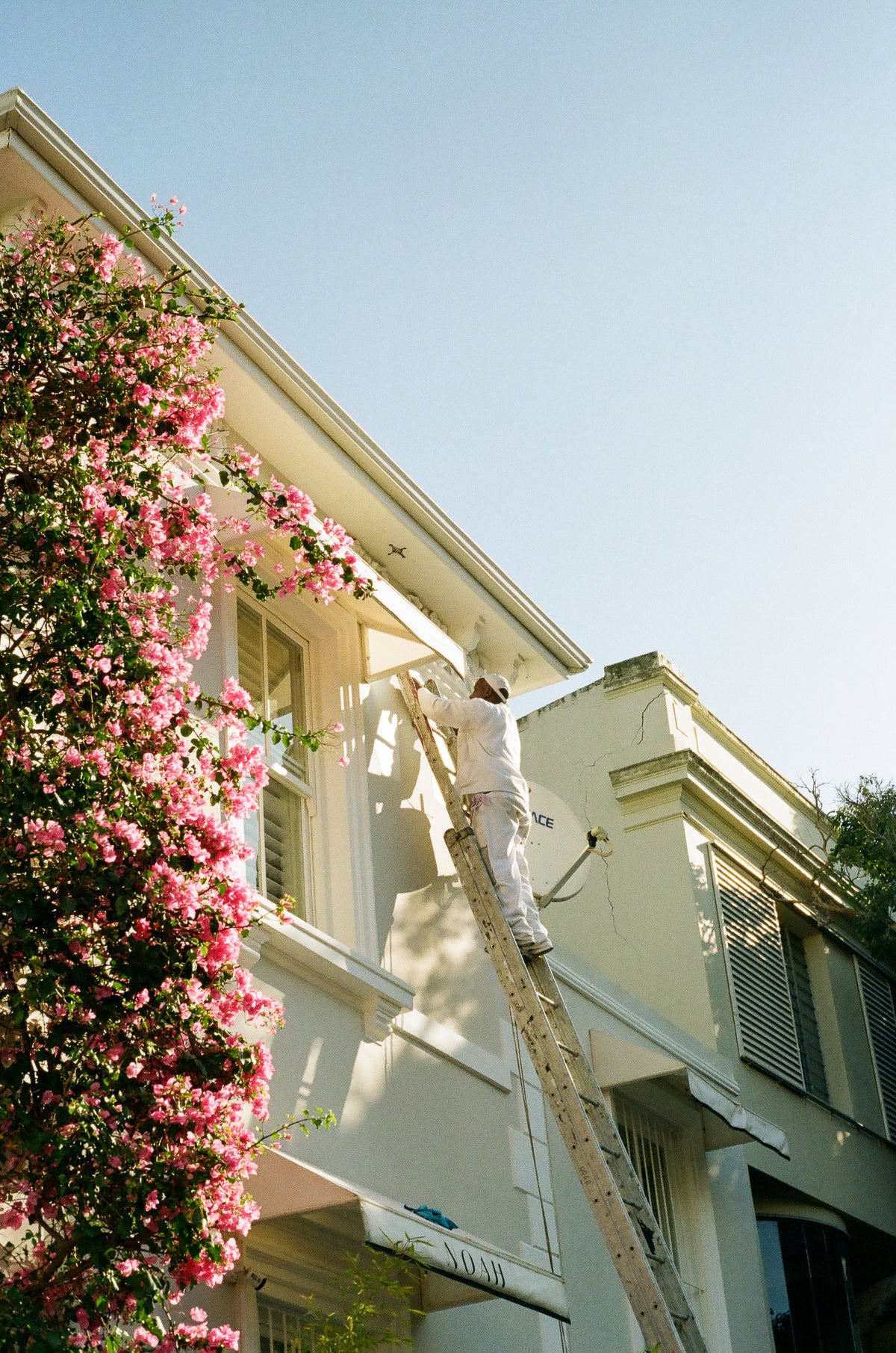 Paint Job | Photography Print