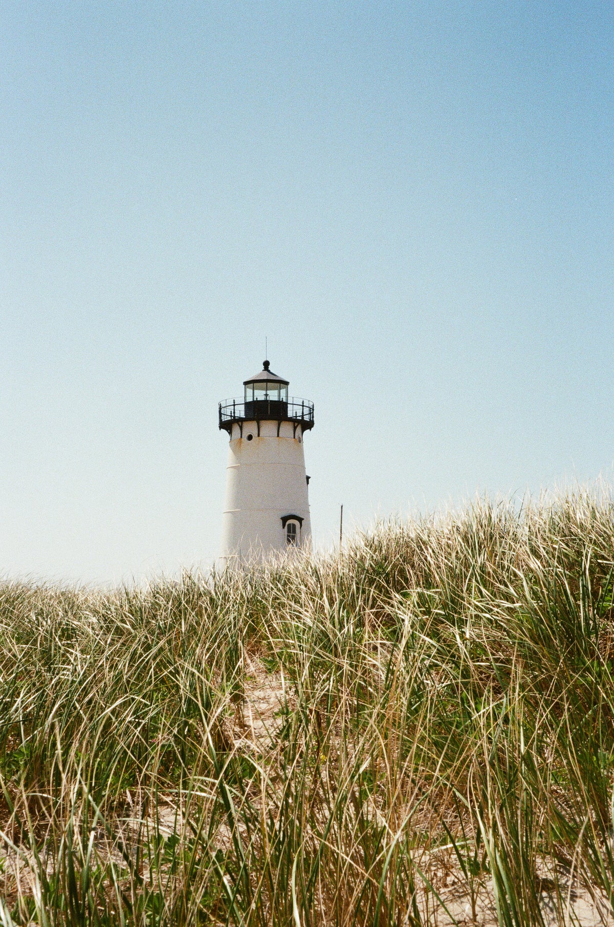 Martha | Photography Print