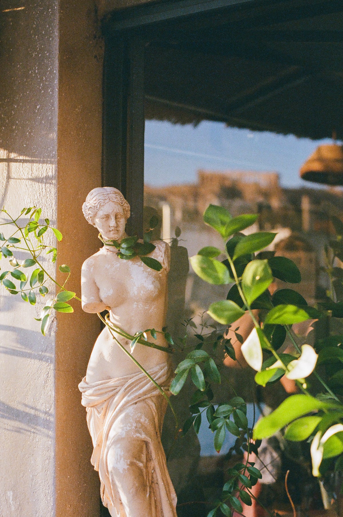 Aphrodite | Photography Print