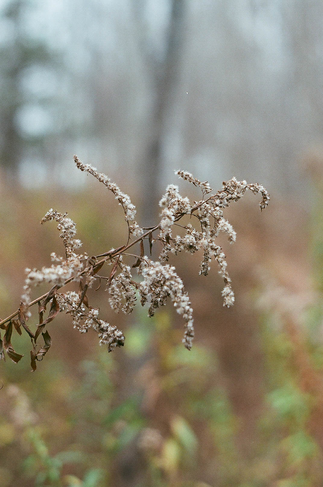 Catskills | Photography Print